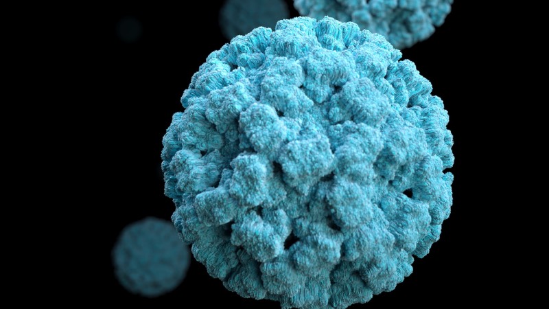 Çfarë Është Norovirus? Cilat Janë Simptomat? Si Të Trajtohet?