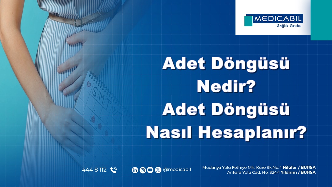 Adet Döngüsü Nedir? Adet Döngüsü Nasıl Hesaplanır?