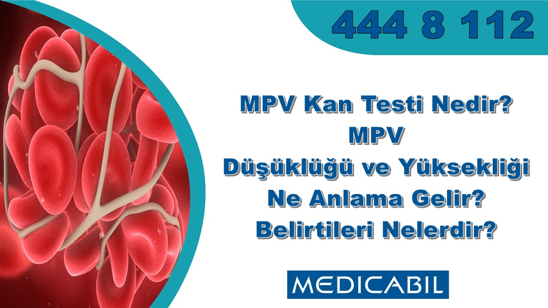 MPV Kan Testi Nedir? MPV Düşüklüğü ve Yüksekliği Ne Anlama Gelir? Belirtileri Nelerdir?