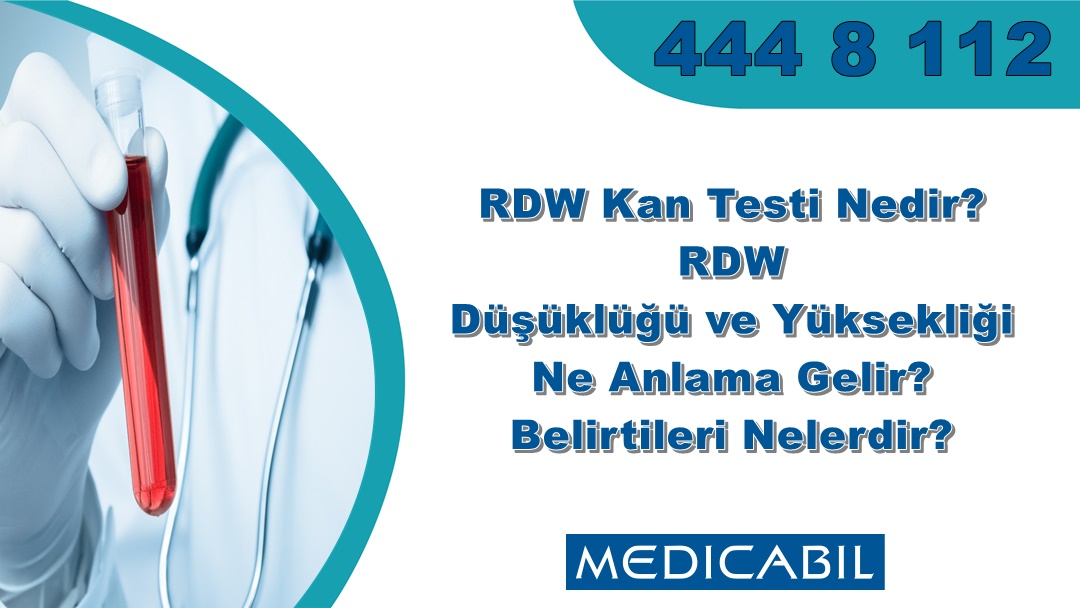 RDW Kan Testi Nedir? RDW Düşüklüğü ve Yüksekliği Ne Anlama Gelir? Belirtileri Nelerdir?